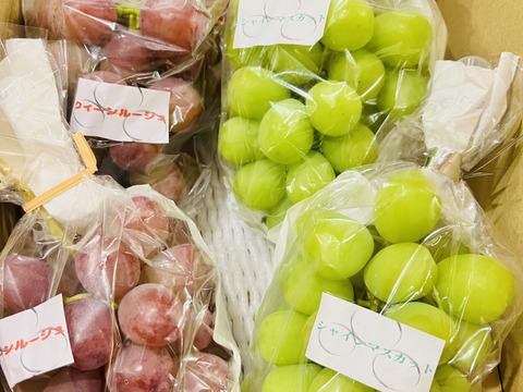 【訳ありクイーンルージュ】と【秀品シャインマスカット】のセット！　約4〜6房　約1.6kg~2kg