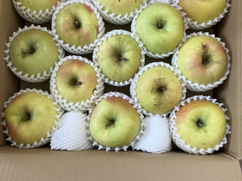 販売中！】青森県産りんご「ぐんま名月」家庭用 キズ有 約5kg 【光