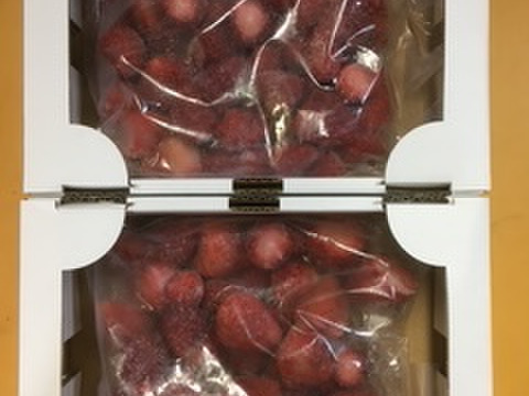 福岡県産 冷凍いちご 500ｇ×6袋