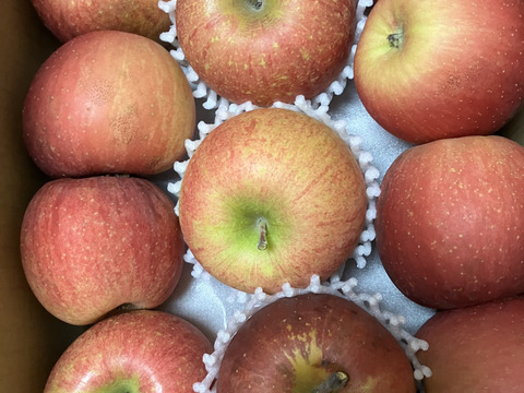 信州りんご🍎４キロパック詰め