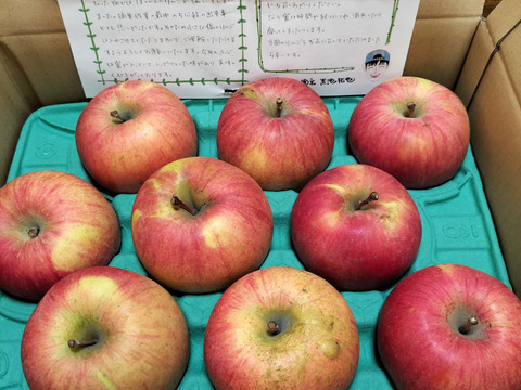 【ご予約】溢れんばかりの果汁！！当農園人気No.1 サンふじ【ご家庭用】3㎏
F-k3