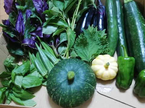 (高級レストランのシェフ御用達!)新鮮!旬の夏野菜セット80(7種程度)