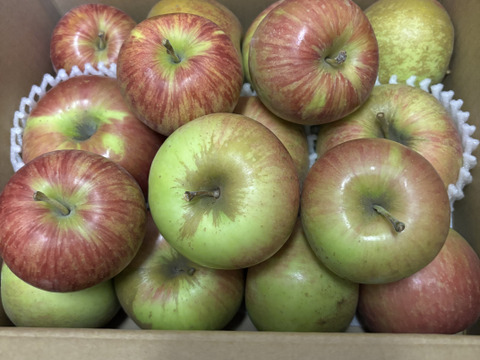 信州りんご🍎小玉４キロパック詰め