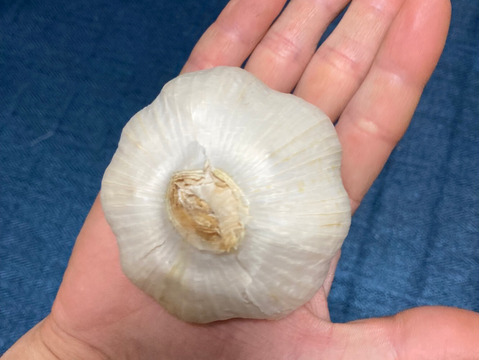 岡山産】福地ホワイト6辺 香り・栄養満点 料理好き＆健康志向の方へ 6キロ