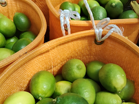 グリーンライム