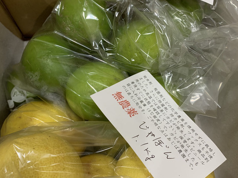 無・ライム 1kg
