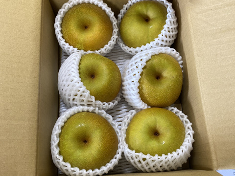 【幸水２ｋｇ】高原の「幸水」は硬さ、シャリ感、ジューシー、甘さが違う。④海藻エキス投与で、コクと旨味のある梨にグレードアップ！【秀品】先行販売3