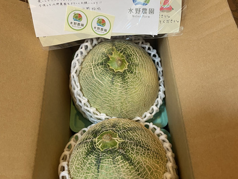 【金賞受賞】シルキーメロン『ロピア』1.6kg×２玉
