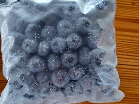 【夏限定】50g増量中　BIG なブルーベリー　200g