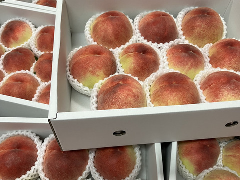 【ご自宅用】早生白鳳3kg