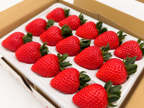 【予約販売】厳選あまりん　12-15粒