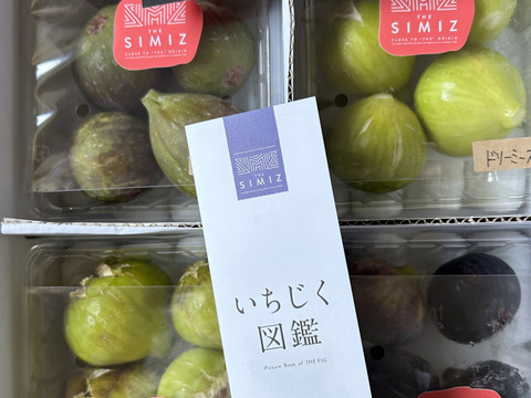 THE FIG ～皮ごと食べれるいちじく～