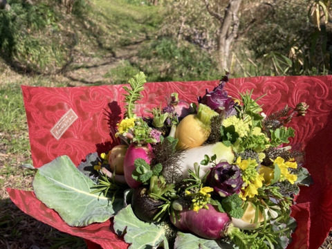 【期間限定】【春ギフト】花と野菜をミックスしたブーケ ブーケタイプ【カラフルなミニ野菜】ファーマーズヤード【お誕生日】【開店祝い】【周年祝い】【お供え】