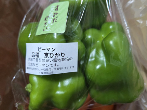 豊かな大地で育った人参(4.5kg) 農薬化学肥料不使用  旬のお野菜1品オマケ付き