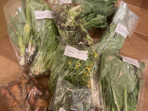 富士山麓  自然栽培野菜セット（なにもいれない）  ８品