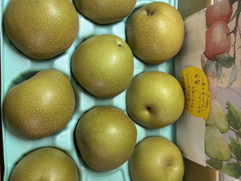 梨の季節が始まりますよ！！【香麗ｺｳﾚｲ】3kg