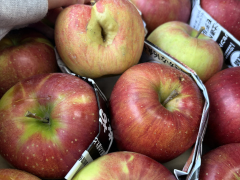 大訳あり シナノスイート5キロ箱 長野県産