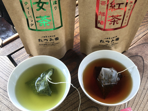 【ポスト投函】2023年新茶予約八女茶100%お試しティーパッグセット