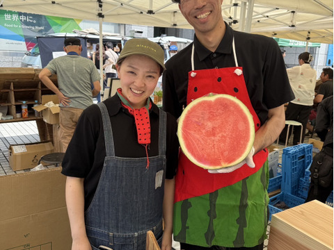 旬の美味しさ！げん喜玉すいか 8kg-10Kg