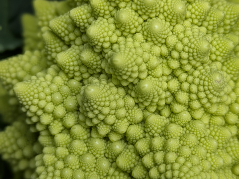 ❄️☃️冬の野菜セット☃️❄️