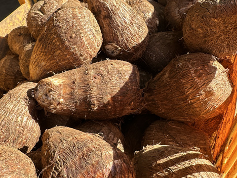 ⚠️11月ラスト⚠️『最上等級』『黒いダイヤ』『贈答品』高級料亭で出される里芋の味をご家庭で！便秘解消・美肌効果バツグン！生産量トップクラスの所沢から送る絶品里芋！3kg(約12〜24個入り)