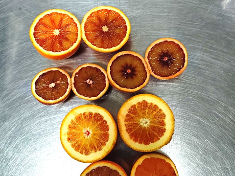 【赤色冷凍ジュース】ブラッドオレンジ完熟生絞り冷凍ジュース1000㎖を2個