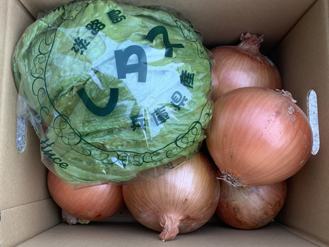 淡路島極熟玉葱5玉とシャキシャキレタス🥬特別栽培農産物　シャーロットオニオン　野菜セット