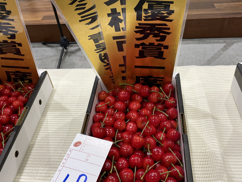 【さくらんぼ最高糖度賞受賞園地】佐藤錦　秀品500g