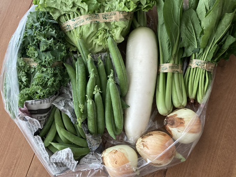 【きほんのやさいBOX（８品）】使い慣れた野菜を中心に、農薬や化学肥料に頼らずにゆっくり元気に育った野菜をお届けします！