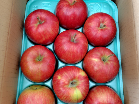 『シナノスイート』ご家庭用秀品約2kg　スマートフレッシュで収穫時の鮮度そのままサックサク！甘くてジューシー！