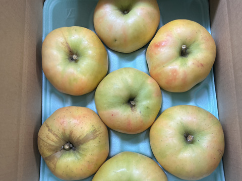 【訳あり】驚いた(*[]*)ﾅｯ!!ムーンルージュ 約3kg 家庭用