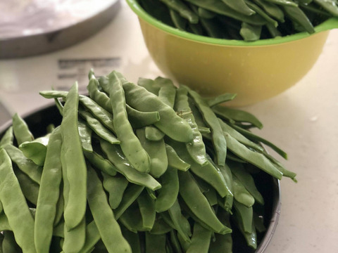 元気モリモリ＊モロッコいんげん＊1ｋｇ~農薬/化学肥料・不使用