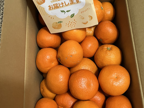 【家庭用】伊予柑 9kg ジューシーな果肉♪ 愛媛みかん！！