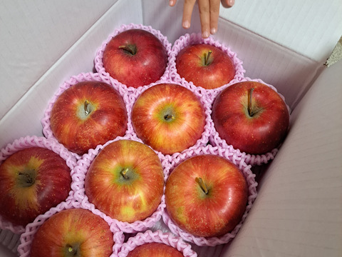 まるせい果樹園のりんご　おまかせ　　3kg自家用　贈答用　(6～15玉入り)　玉数指定不可　or1