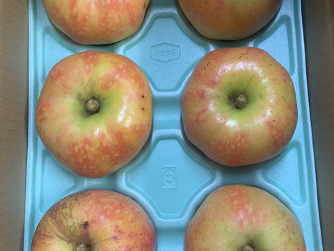 今年最後【訳あり】驚いた(*[]*)ﾅｯ!!ムーンルージュ 約3kg家庭用