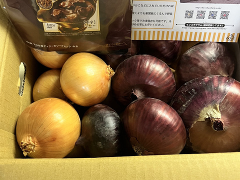 期間限定！淡路島たまねぎ☆食べ比べ☆セット　5kg