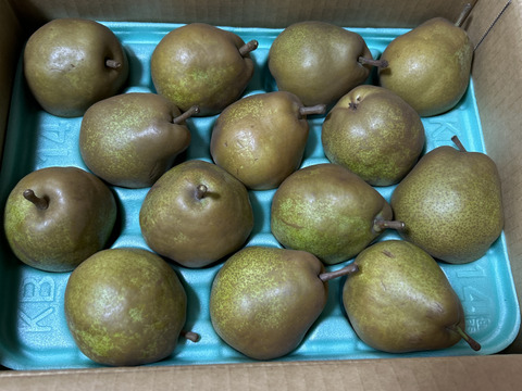 【ミニサイズ】ラフランス　規格外の小玉サイズ！約6kg