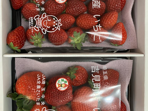 【半額】 希少あまりん】2パック(500g) 朝採れ🍓：埼玉県産のあまりん 歯ブラシ/歯みがき用品