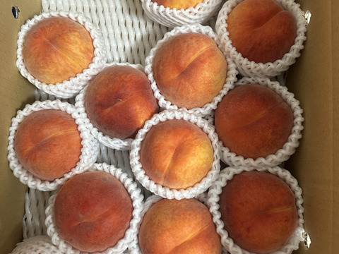 ワッサー　大家族様向き　　信州ならではの桃　訳あり　ご家庭専用コース　4.5キロ　予約受付中　8月上旬収獲・発送