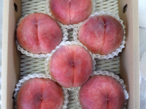 贈答用、家庭用 桃(2kg) 7月予約商品 
その時採れた新鮮な桃をお届け！