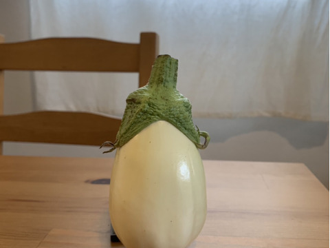 【人気沸騰中！】とろーり旨ナス　１ｋｇ（４個）