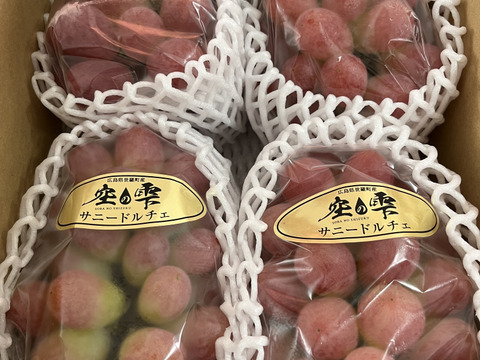 【約2㎏】皮ごと食べられる赤いブドウ！サニードルチェ　 3～5房入り　【お届け時期９月25日～　受付順】
