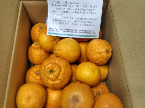 【母の日ギフト】デコポン発祥地から不知火５kg（家庭用）〜雑誌「MORE」に掲載されました〜