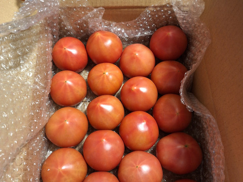 昔ながらのトマト🍅８０サイズ箱詰め(S玉)