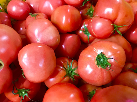 【加工用】割れ完熟トマト