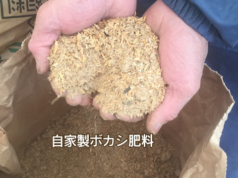 《売り切れました》安納芋１０KG【90日熟成】 五島列島産 土着微生物を活かした自然農業での栽培