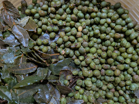 自然農栽培 山椒の実100グラム 山椒の葉もお入れしてお届けいたします