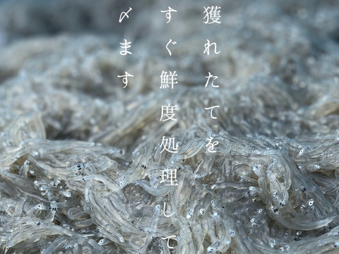 【魚介の福袋】漁師が詰めた手軽に食べられる海鮮いろいろセット