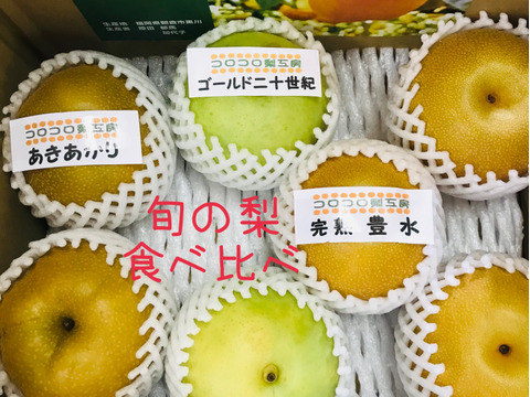 予約販売【旬の梨詰め合わせ】3品種2.2kg(7~8個入) ✨️豊水・あきあかり・ゴールド二十世紀✨3種それぞれに美味しいです‼️お好みの梨を見つけて下さい😊