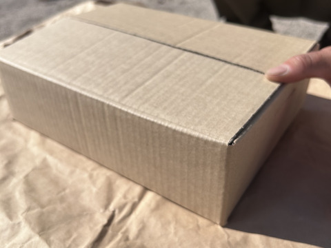 《2024年最後！》粒粒！緑も黄色も詰め詰めシャインマスカット！（ご家庭用、1.5kg）